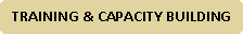 Rounded Rectangle: Training & Capacity Building